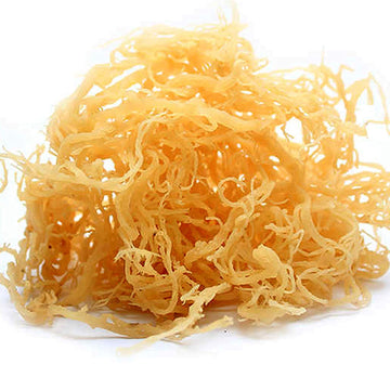 Raw Premium Gold Sea Moss